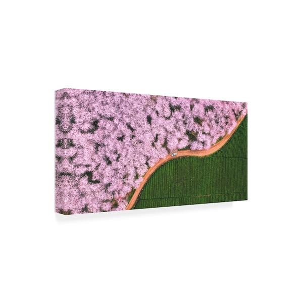 TIANQI 'The Road Of Flower' Canvas Art,12x24
